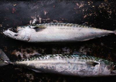 Pescado restaurante Katxarro